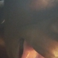 Tsaghrogh ev khonav puc