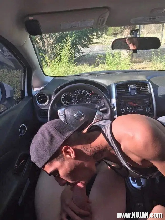 In the Car - Photo #380754
