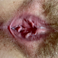 Creampies pucy cumshots