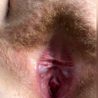 Creampies pucy cumshots