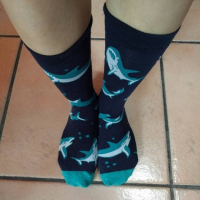 Valentina Nappi Feet