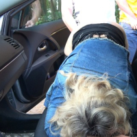 Having fun with some cocks and a lollipop at a parking area