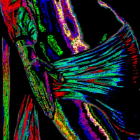Erotic PopSurreal Art