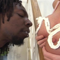 Busty blondie Bridgette Kerkove takes a ride on a big black dick