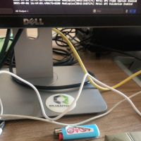 test erkrpaguneri hamar