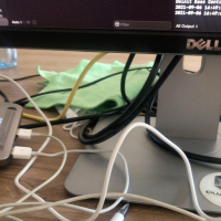 test erkrpaguneri hamar