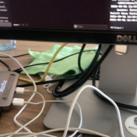 test erkrpaguneri hamar