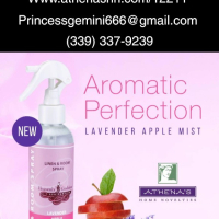 Princessgemini Productions