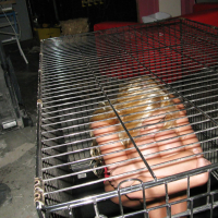 Amateur babe Jessie Andrews is imprisoned in her socks in a cage