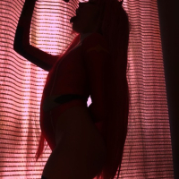 Zero Two Cosplay