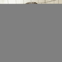 Apolonia Lapiedra gets all hot and wet in Shower