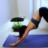 Tiffany Tyler shows her Tits and Ass doing Yoga