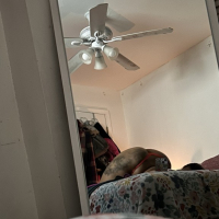 Cum Watch Me Daddy Plzzz