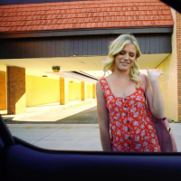 Kinky blondie Nikki Sweet getting picked up and shagged hard
