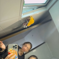 Я с подругой
