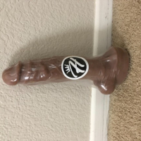 Mr Hankeyrsquos Dildo Collection