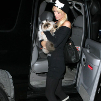 Paris Hilton have sex with her sister Niki Hilton in car