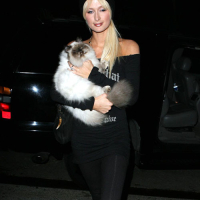 Paris Hilton have sex with her sister Niki Hilton in car