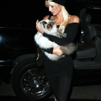 Paris Hilton have sex with her sister Niki Hilton in car