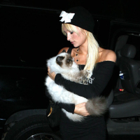 Paris Hilton have sex with her sister Niki Hilton in car