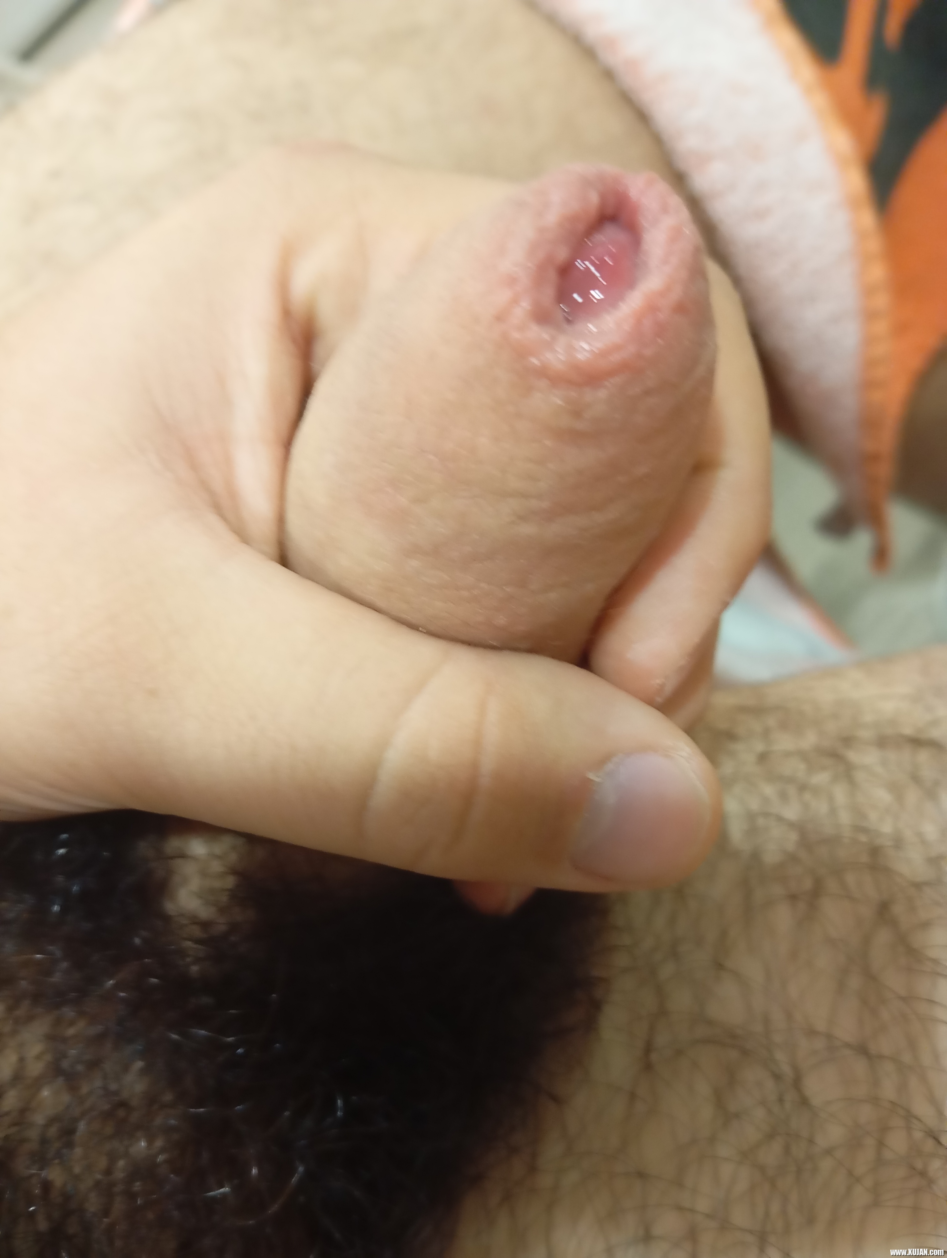 Ova uzum - Photo #772985