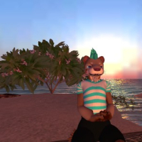 second life photos
