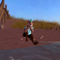 second life photos