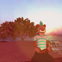 second life photos