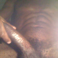 BIG CHOCOLATE BLACK