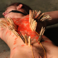 Cheyenne Jewel Bondage Toy