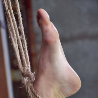 Willow Hayes petite long legs brunette babe rope bound in a dungeon