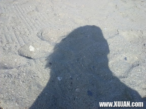 Lifes a Beach - Photo #858649