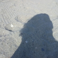 Lifes a Beach