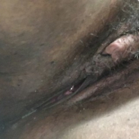 pucy n Ass
