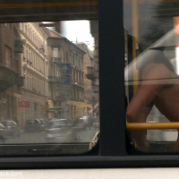 Hard Fucked on a City Bus
