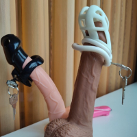 My chastity cages