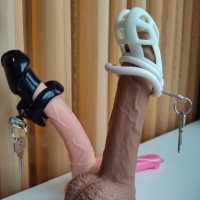 My chastity cages