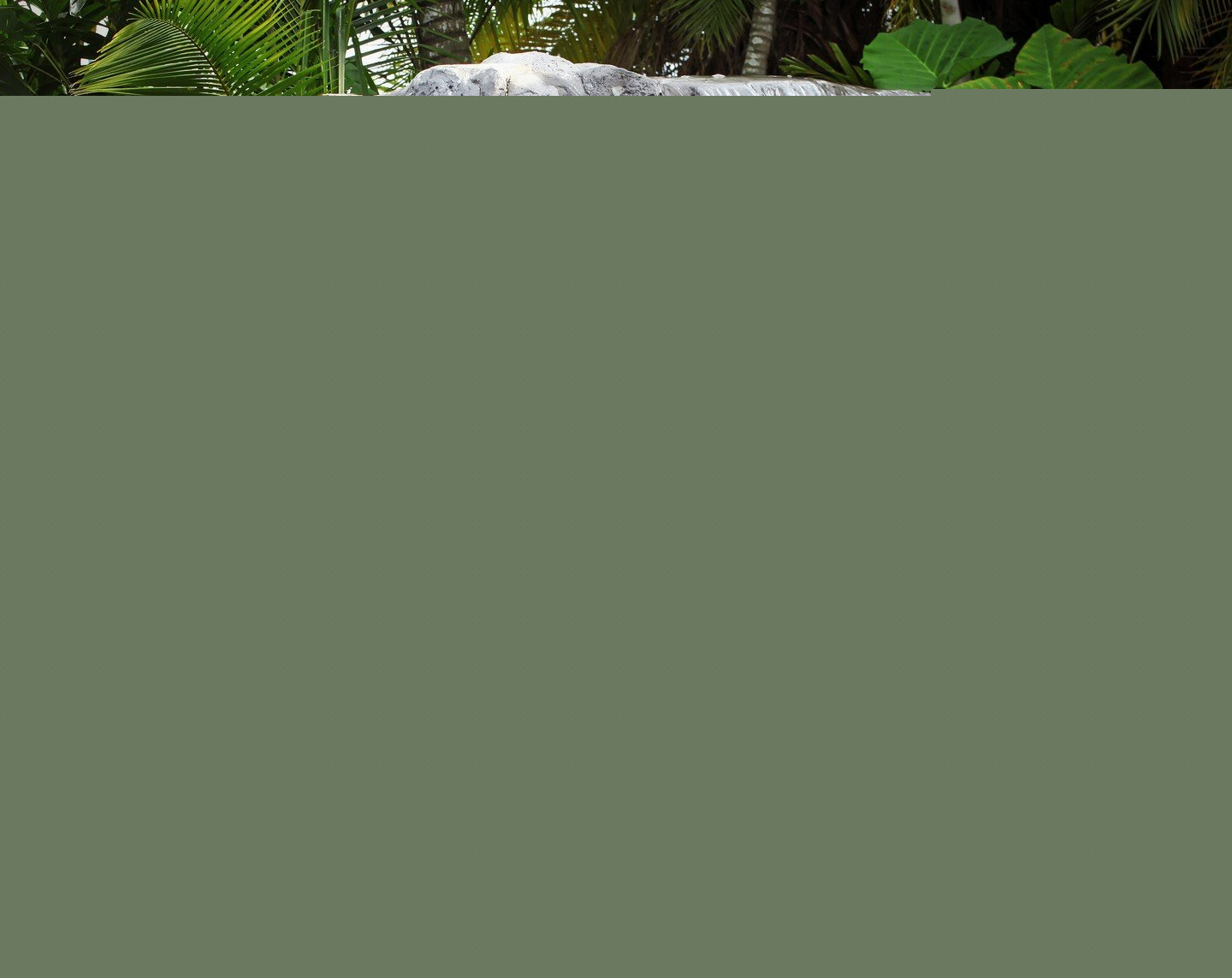 Lovely Esperanza Gomez showing her nice body by the waterfall - Photo #959983