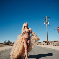Wild tattooed babe Chantal Danielle gets plundered hard by shady stranger