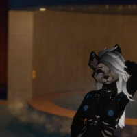 PoolSide Wolf