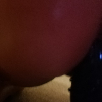 Parzapes sksnakneri hamar