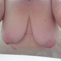 BBW Loganqi zhamanak