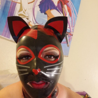 Yndmijum Kittys i nor lateqsum