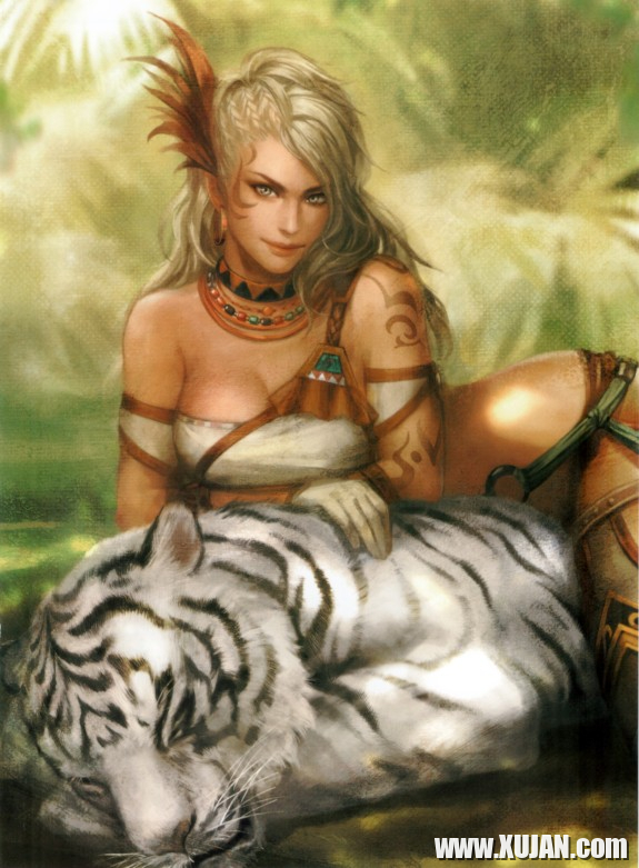 Dynasty Warriors Chicks - Photo #1052584