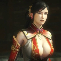 Dynasty Warriors Chicks