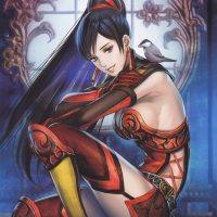 Dynasty Warriors Chicks