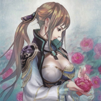 Dynasty Warriors Chicks