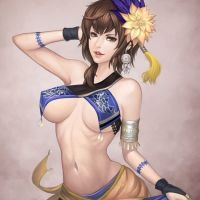 Dynasty Warriors Chicks