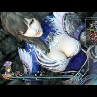 Dynasty Warriors Chicks