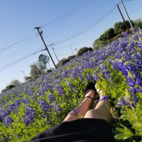 Khaghal Bluebonnets um